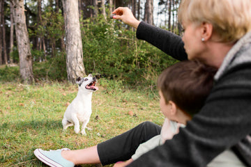 Training Treats: How to Reward Your Dog Thoughtfully