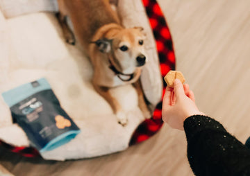 Best chicken dog treats for sensitive stomachs
