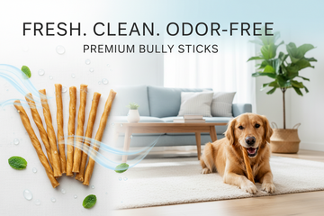 Bully Sticks - Odor Free