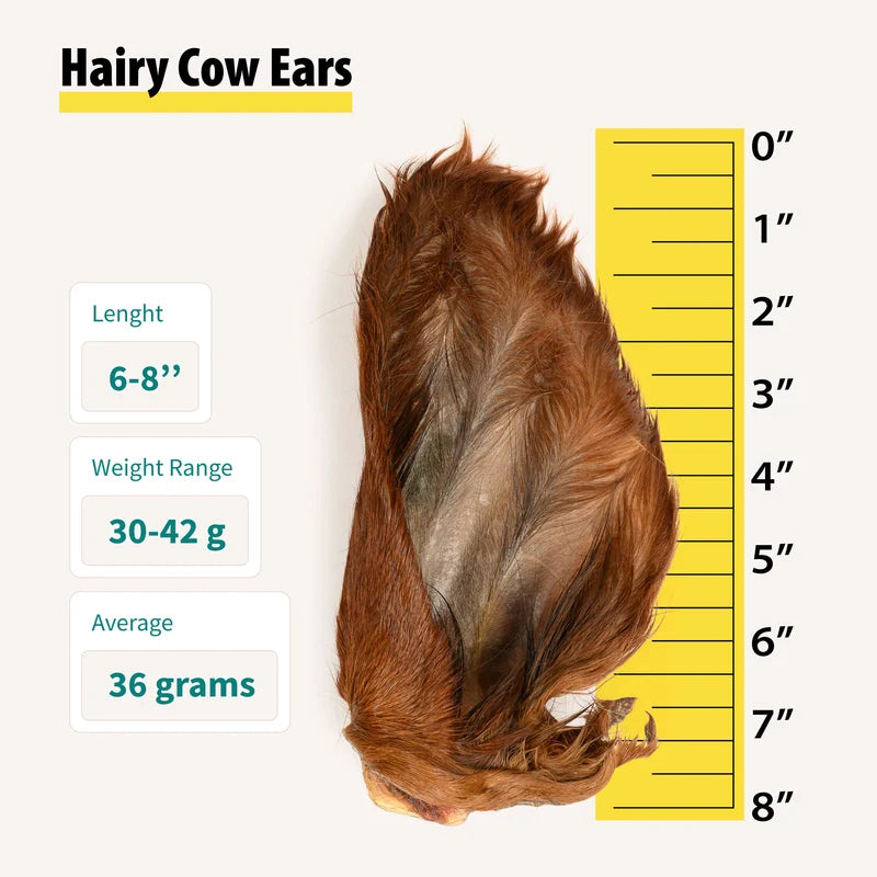 Hairy Cow Ears Dog Treats - 15ct Chewy, Nutritious Dog Chews