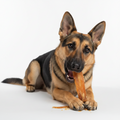 Backstrap tendons dog chew for power chewers